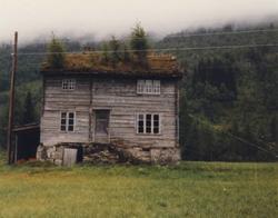 Nøysemd - ”Hjelma Lars Petter”