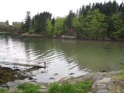 Pass på plassen min! -Fløksand kai