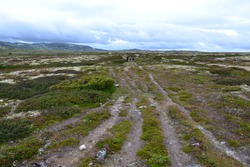 Hardangervidda nasjonalpark