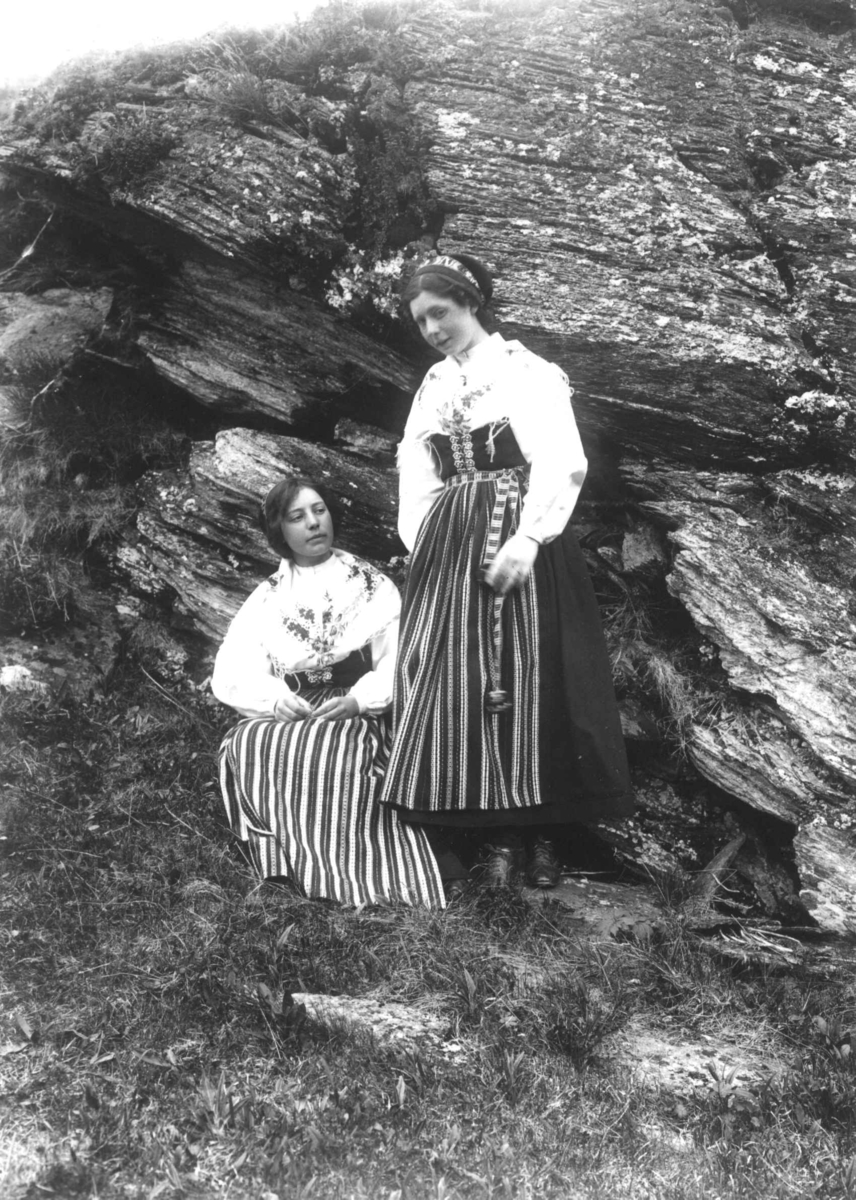To kvinner i landskap, ukjent sted. i drakter fra Rättvik, Dalarne, Sverige. 
Serie tatt av Robert Collett (1842-1913), amatørfotograf og professor i zoologi. 