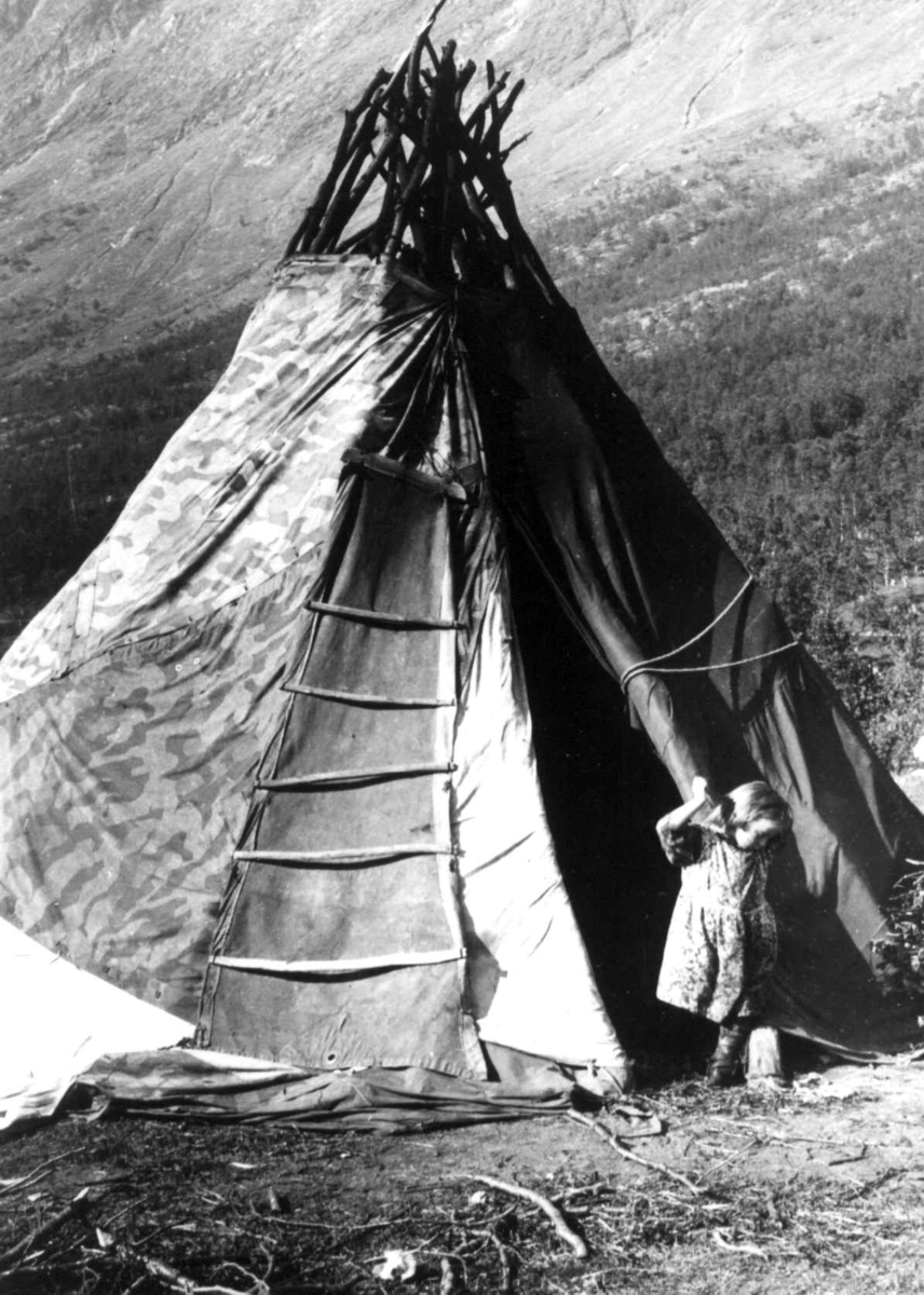 Sameleir. Et barn utenfor teltåpningen. Lyngen, Troms 1947.