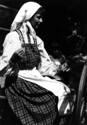 Husflidsdag NF. 3.8.86