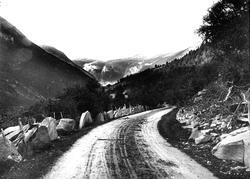 Landskap, ukjent sted. Veiparti i forgrunnen med stabbestein