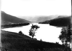 Landskap, ukjent sted. Utsyn over sjø omkranset av skogkledd