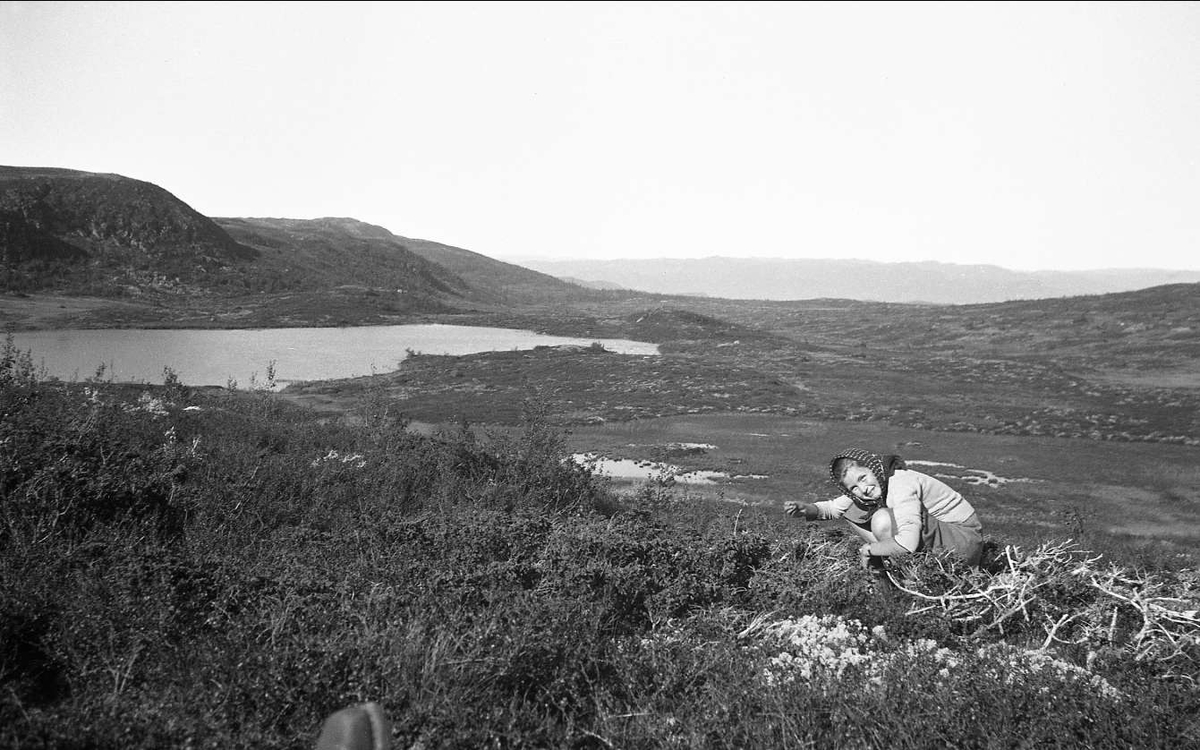 Utsikt over Norefjell1941. Det er antakelig Guri som er
avbildet i forgrunnen.
