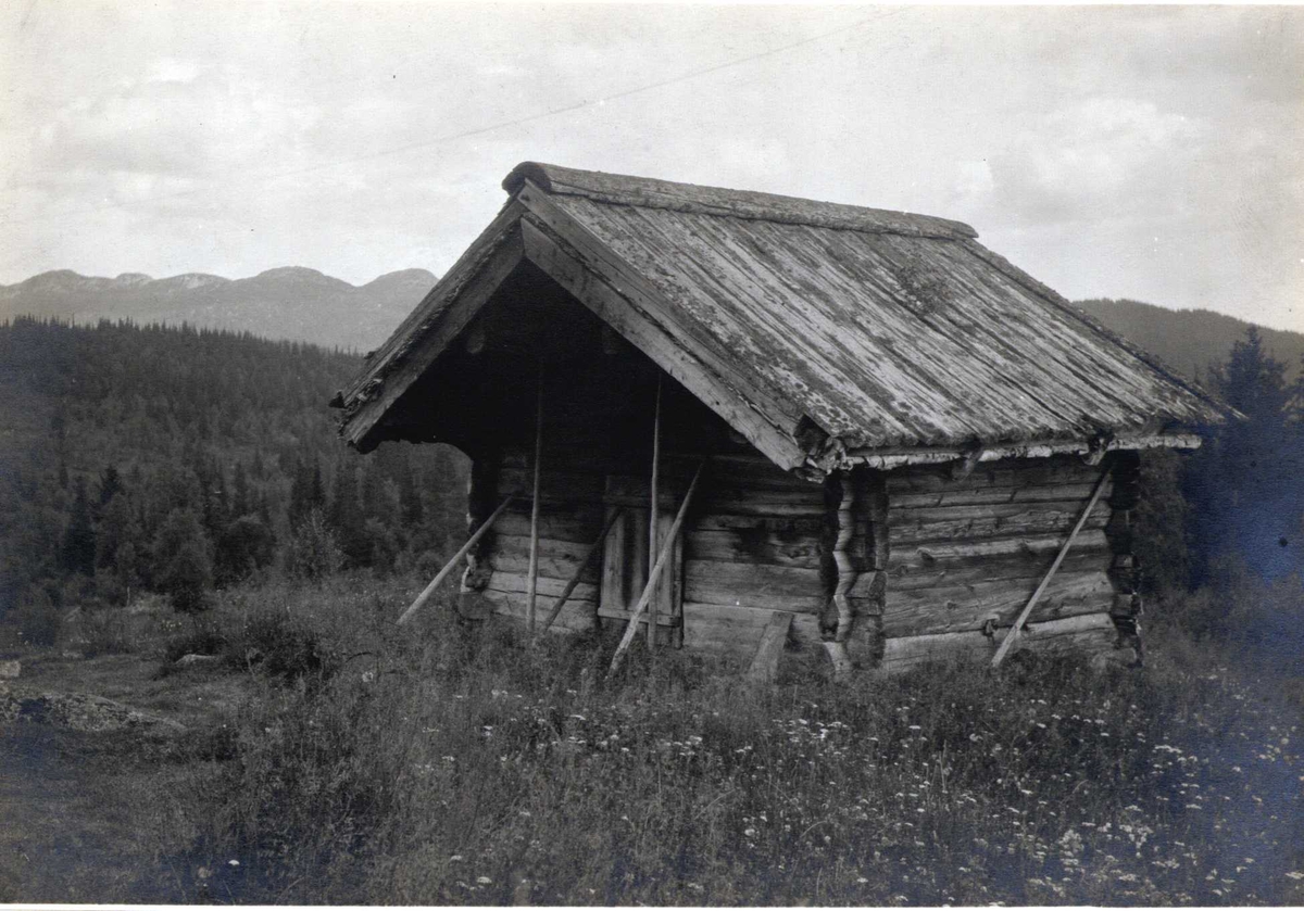 Badstue, Volhovd, Øyfjell, Vinje, Telemark. Fotografert 1917.
