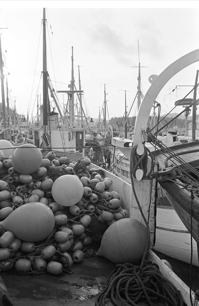Serie. Fiskebåter ligger til kai, Egersund, Rogaland. Fotografert nov. 1965.