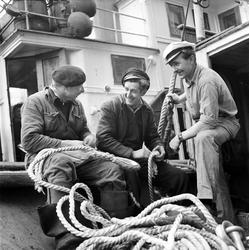 Ålesund, februar 1959, sildefiske, fiskere på kaikanten.