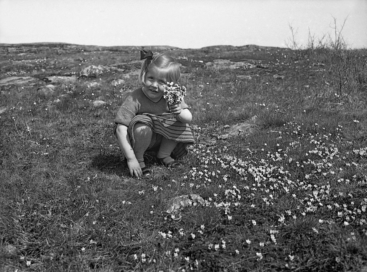 Guri Arentz sitter i en blomstereng og plukker blomster, Åsly, Knarberg, Nøtterøy Fotografert mai 1932.