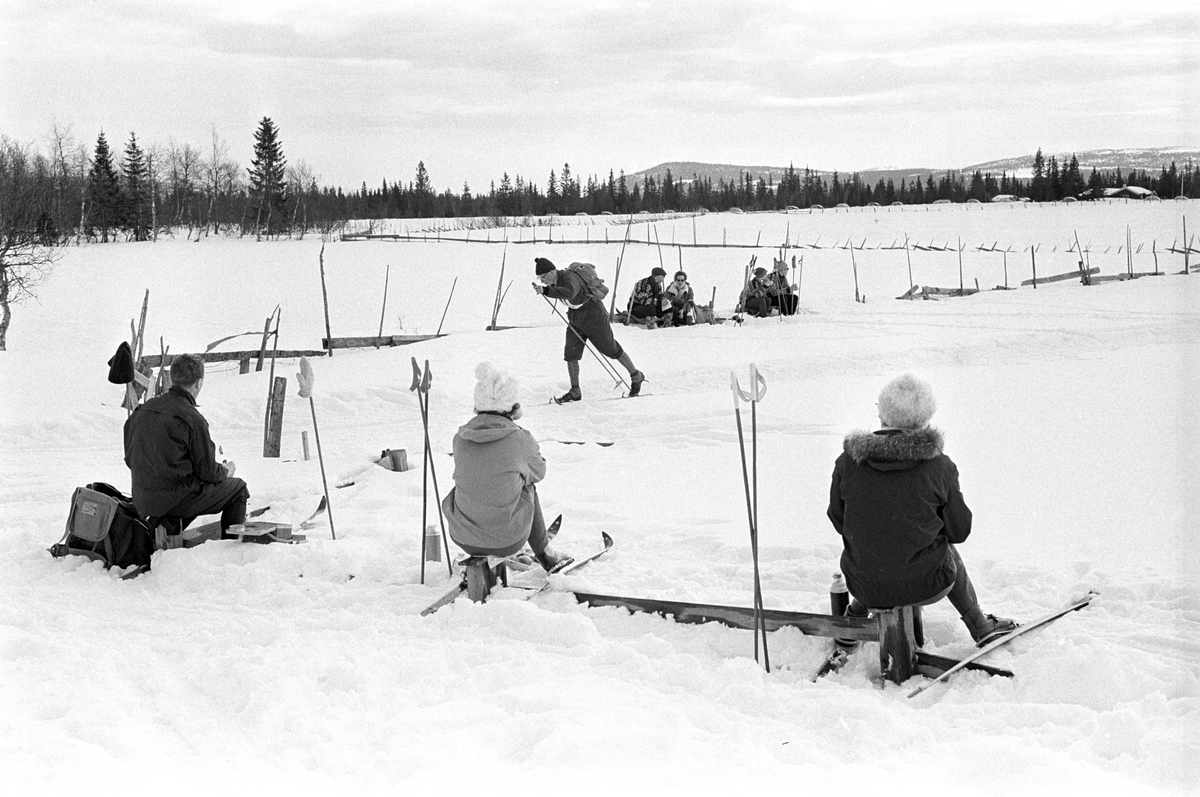 Deltaker i sporet. Publikum langs løypa. Birkebeinerrennet fra Rena til Lillehammer 1963.