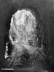 Fra Bratlandsdalen, Suldal, Rogaland. Hesteskyss på vei ut a