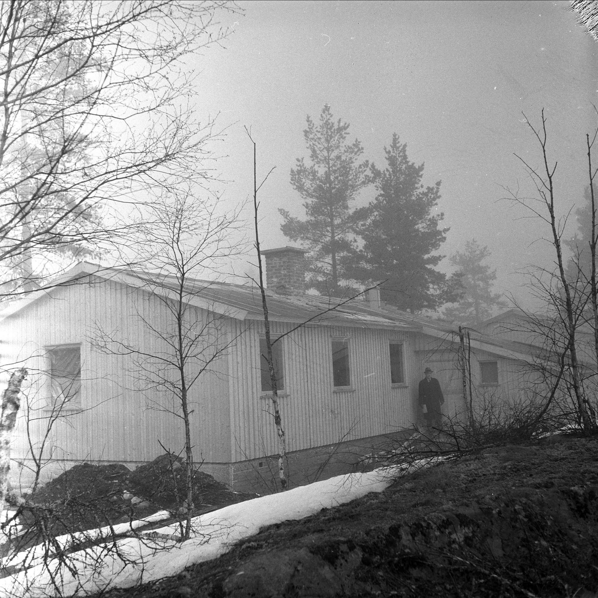 Hus i skogholt antakelig Tyskerbakker i Froland, fotografert i mars 1959.