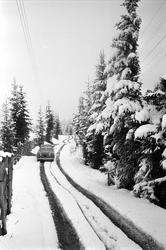 Snø i mai, Norge, 18.05.1965. Bil på vei med snø.