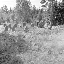 Skjeberg, Østfold. Fortidsminner. Mennesker i steinsirkel.