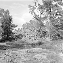 Den store gravrøysa på Gunnarstorp ved Sarpsborg i Østfold. 