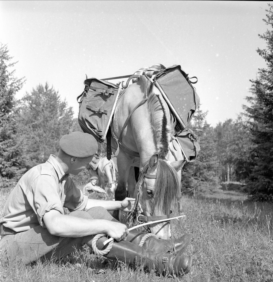 Starum, Østre Toten, Oppland, 07.07.1956. Soldat og pakkhest i skogen.