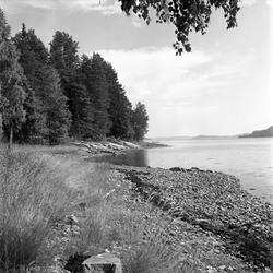 Vøra, Sandefjord, Vestfold, 07.07.1958. Vøra badestrand.