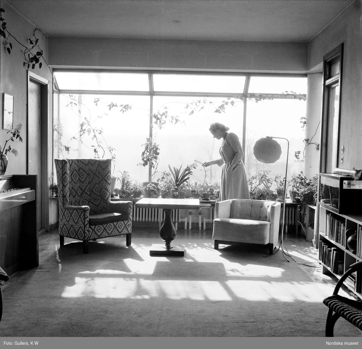 Person. Alva Myrdal vid sina krukväxter i vardagsrummet i villan,  Bromma. 