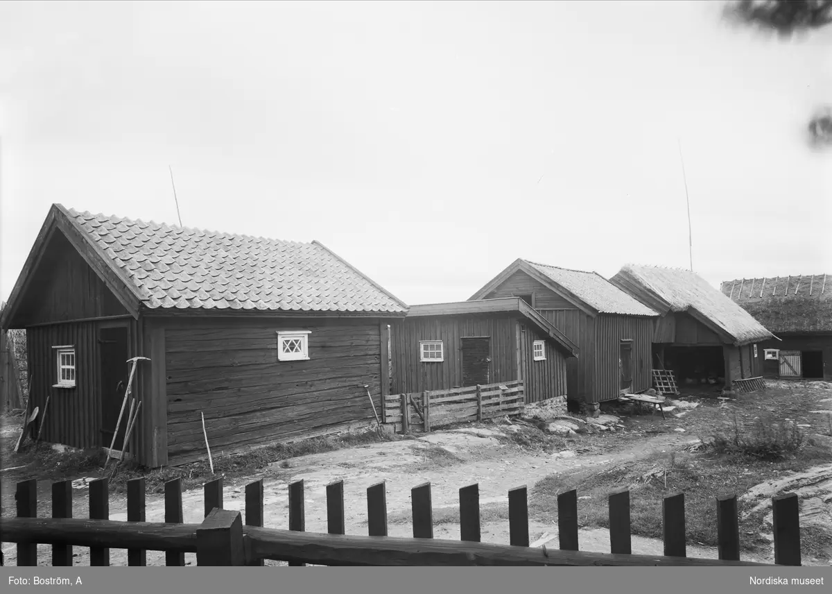 Nordiska museets etnologiska undersökning 1931. Ekebo Gästgivaregård i Otterstad socken, Kållands härad, Västergötland. En rad ekonomibyggnader bakom staket. 