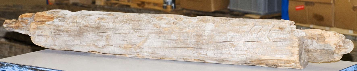 12 större delar av trä till brunn, väggvirke och trappsteg. Fem mindre fragment, som sannolikt har lossnat från någon eller några av de större delarna. Vissa av delarna är av ek, andra av ett annat träslag.

Träet är mycket torrt och skört, skadas lätt vid hantering.