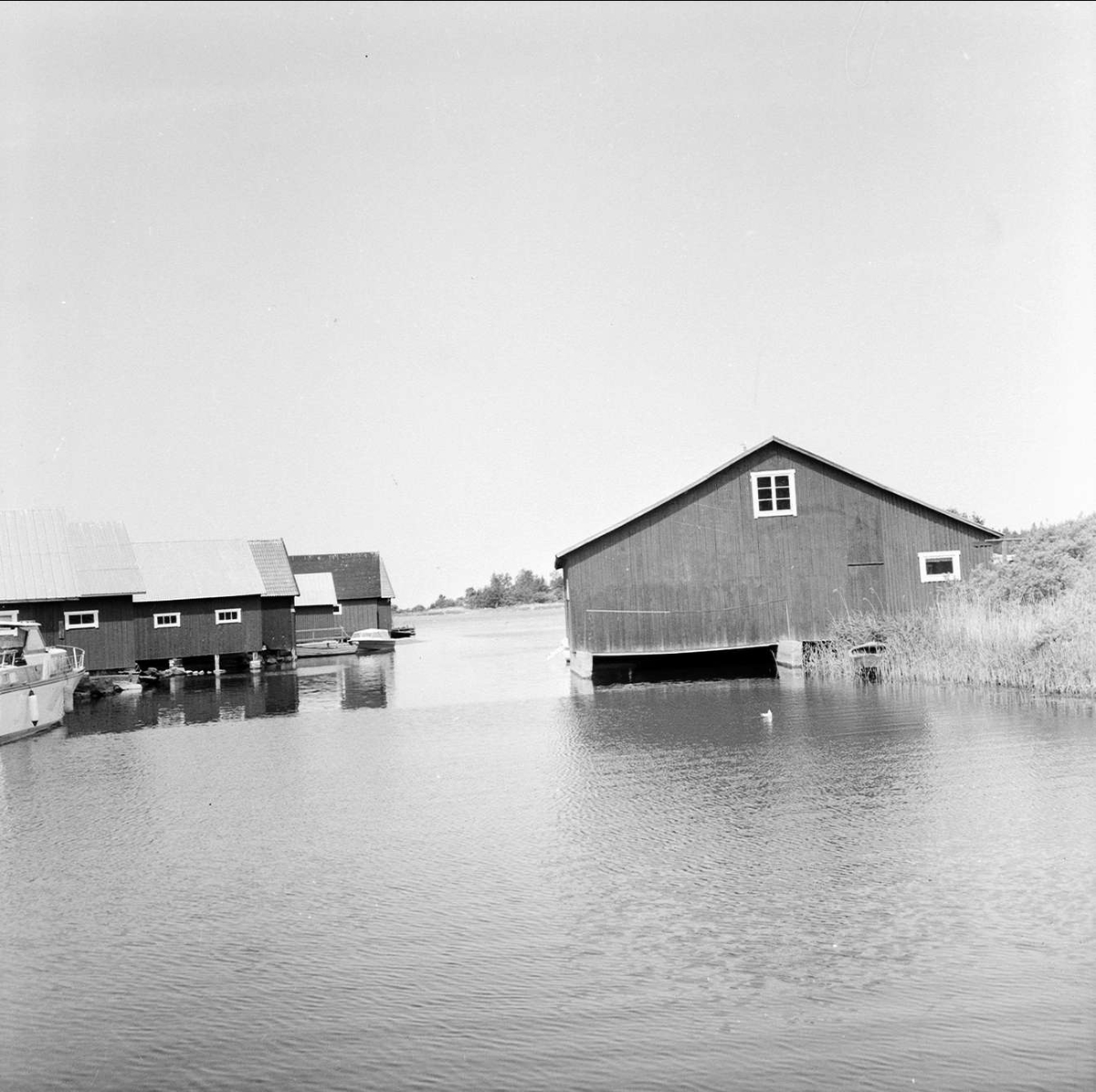 "Prov visar bättre vatten", Tierps kommun, Uppland 1973