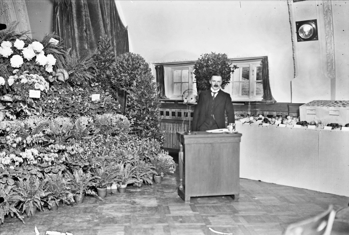 Landshövding Sigfrid Linnér talar på lantbruksmässa på Bluffen, Uppsala 1933