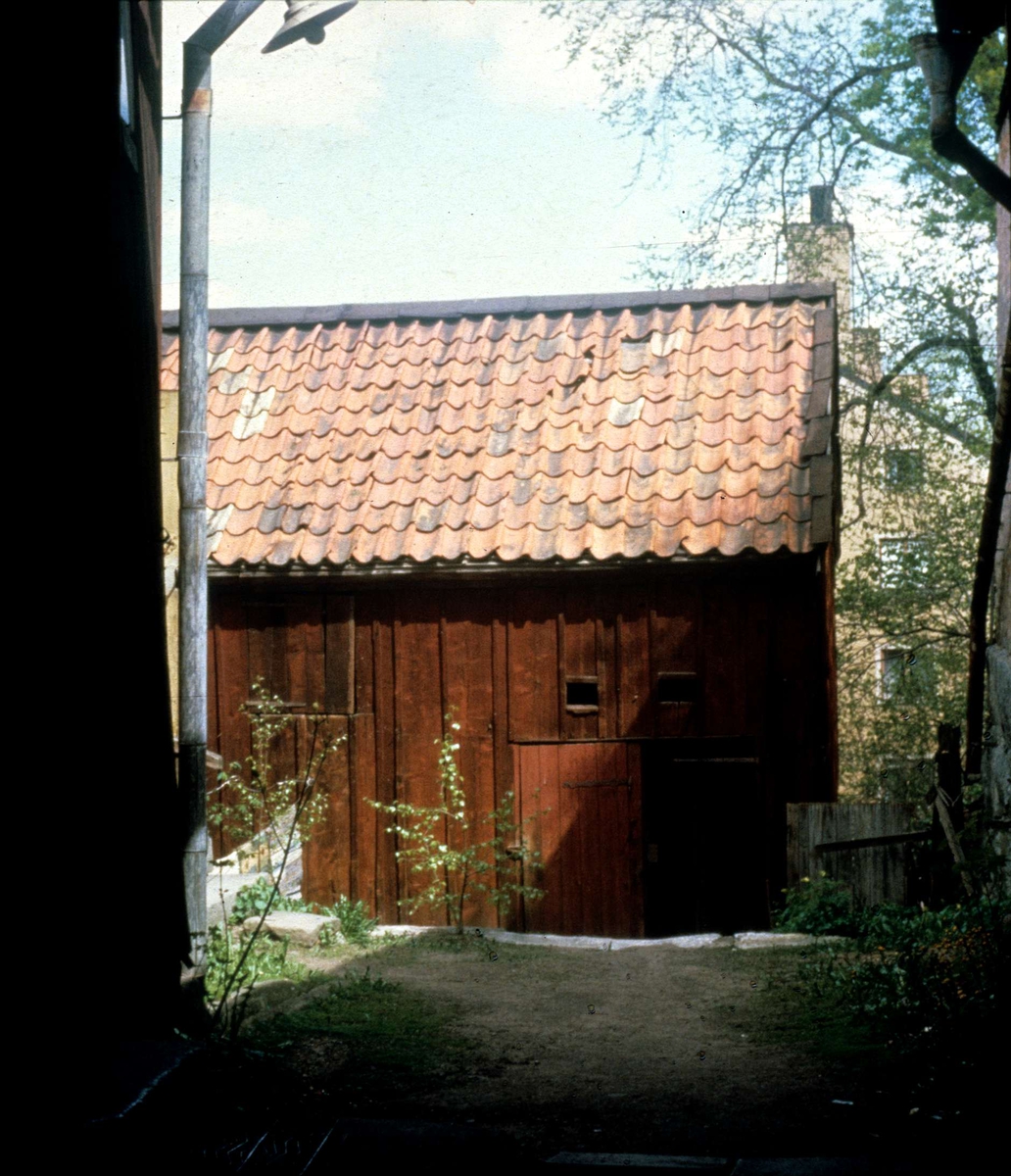 Gårdsinteriör, kvarteret S:t Niklas, Uppsala 1964