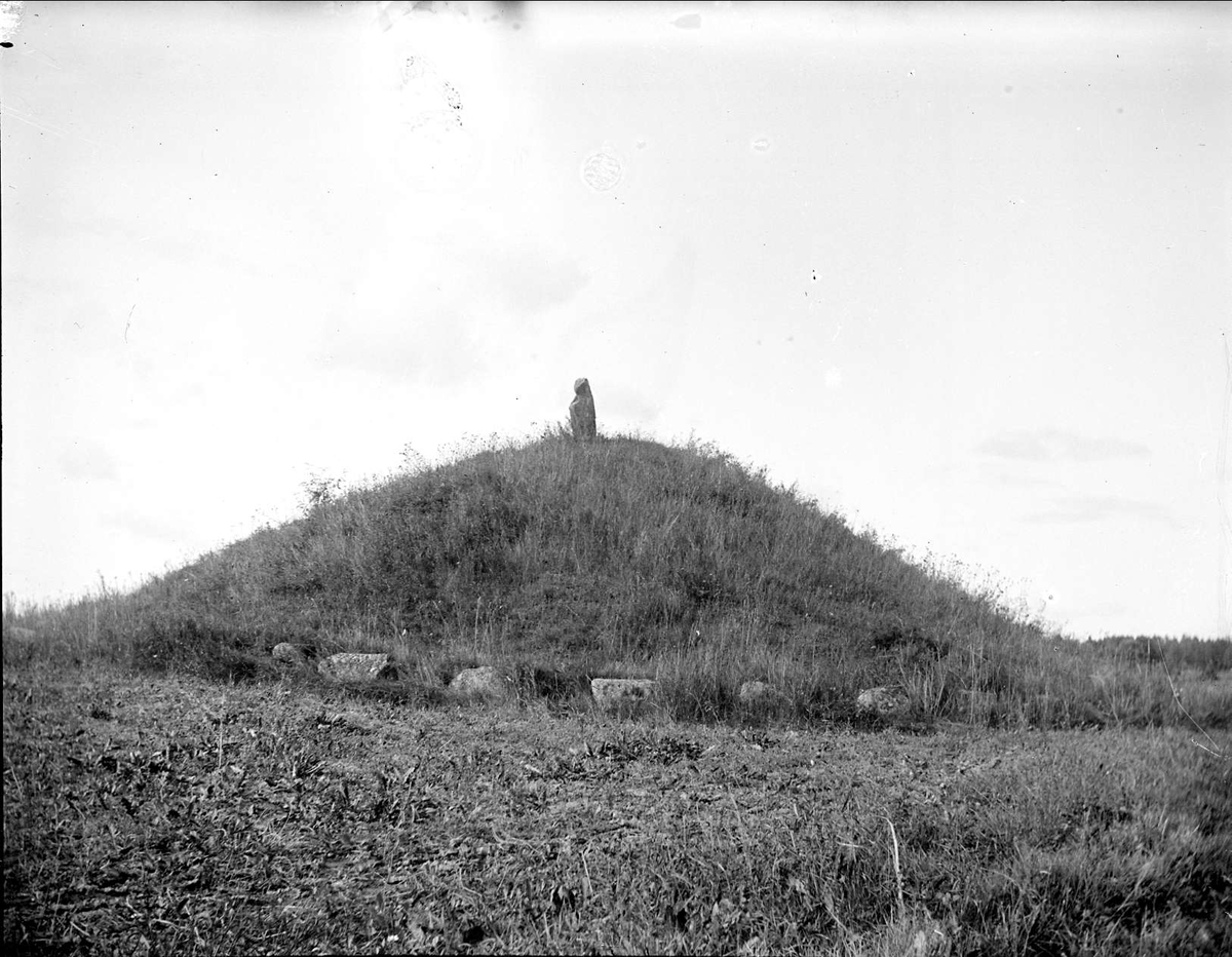 Hög i Rölunda, Häggeby socken, Uppland september 1912