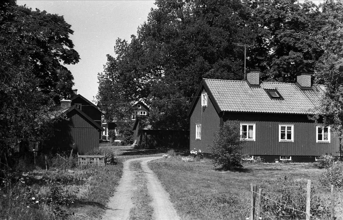 Bostadshus, hönshus och förråd, Lund 3:1, Björklinge socken, Uppland 1976