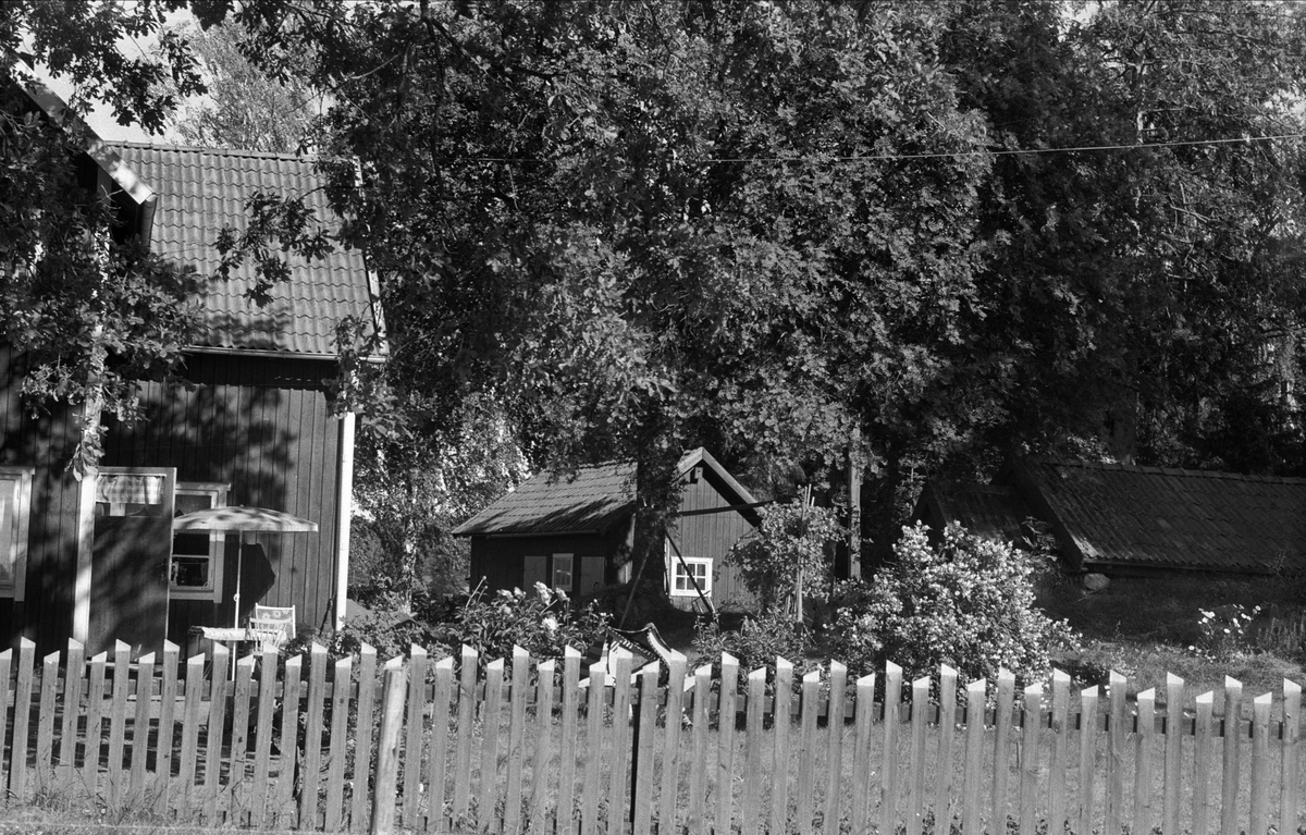 Bostadshus och uthus med vedbod, Lund 3:2, Björklinge socken, Uppland 1976
