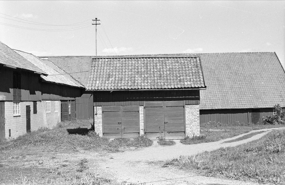 Ladugård, stall, loge och garage, Viggeby 1:1, Viggeby, Danmarks socken, Uppland 1977