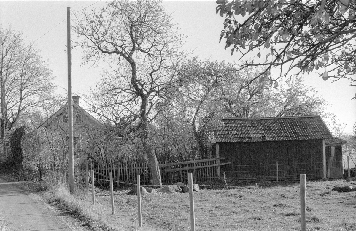 Parstuga och vedbod/hemlighus, Fullerö 18:34, Hämringe, Gamla Uppsala socken, Uppland 1978