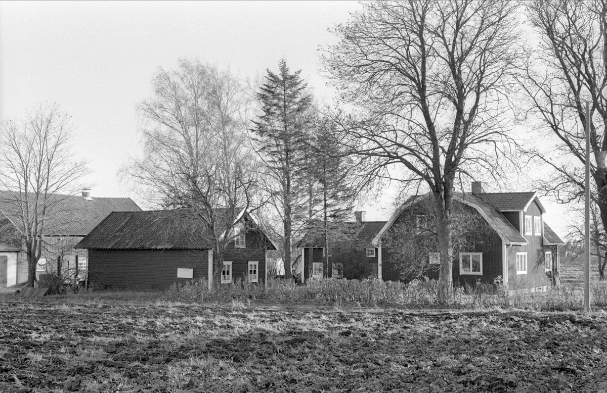 Magasin/matbod med mera, brygghus/drängstuga och mangårdsbyggnad/bostadshus, Svista, Bälinge socken, Uppland 1978
