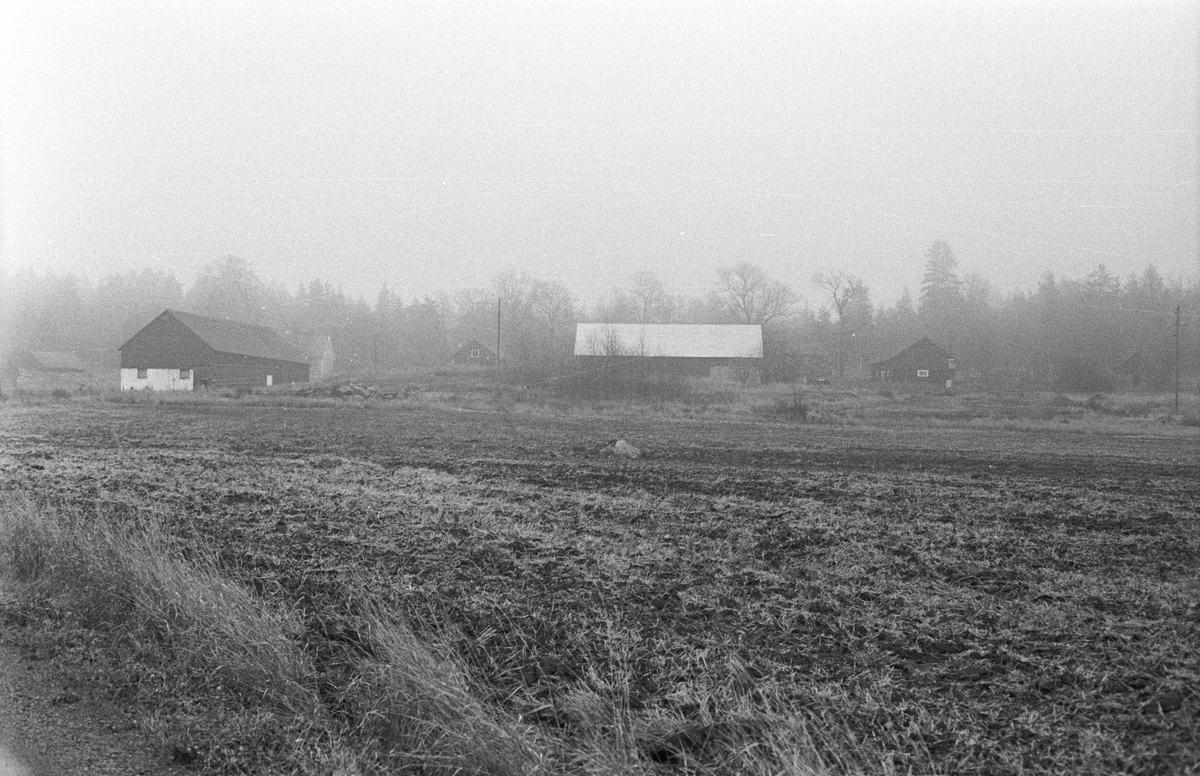 Vy från sydväst över Lunda 1:2, Lunda, Danmarks socken, Uppland 1978