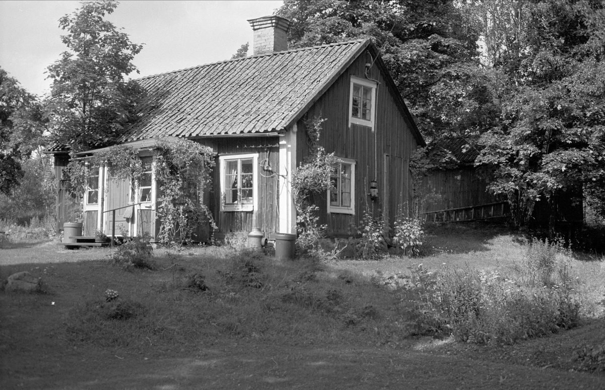 Fritidshus, Gråmunkehöga 5:3, Gråmunkehöga, Funbo socken, Uppland 1982