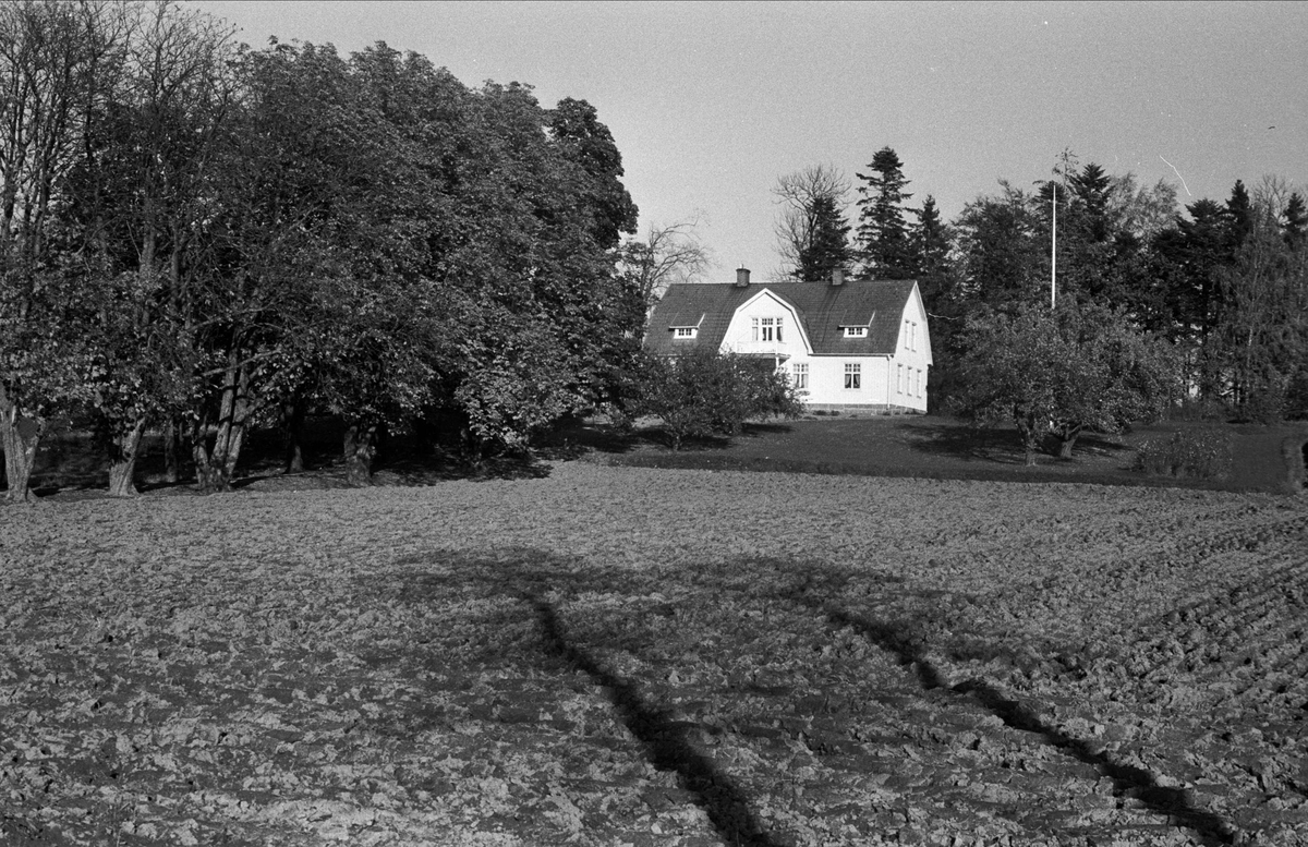 Vy över bostadshus, Vik 1:1, Balingsta socken, Uppland 1984