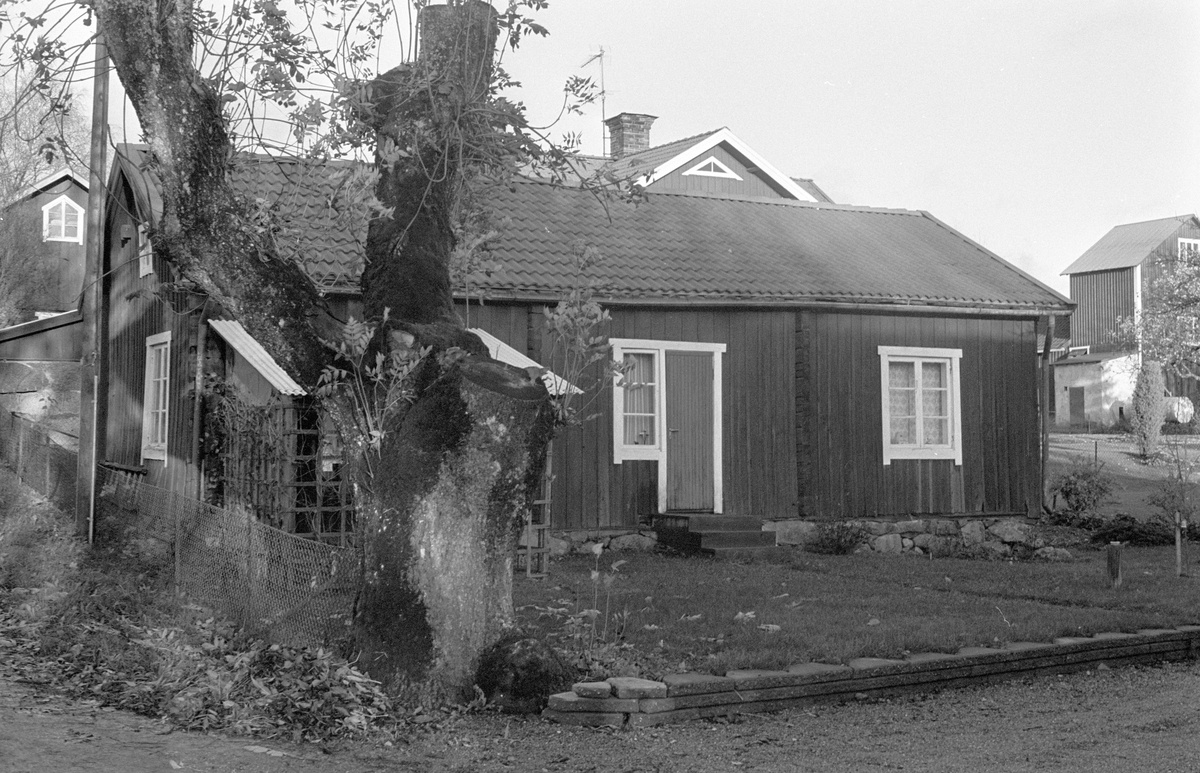 Bostadshus, Ubby, Dalby socken, Uppland 1984