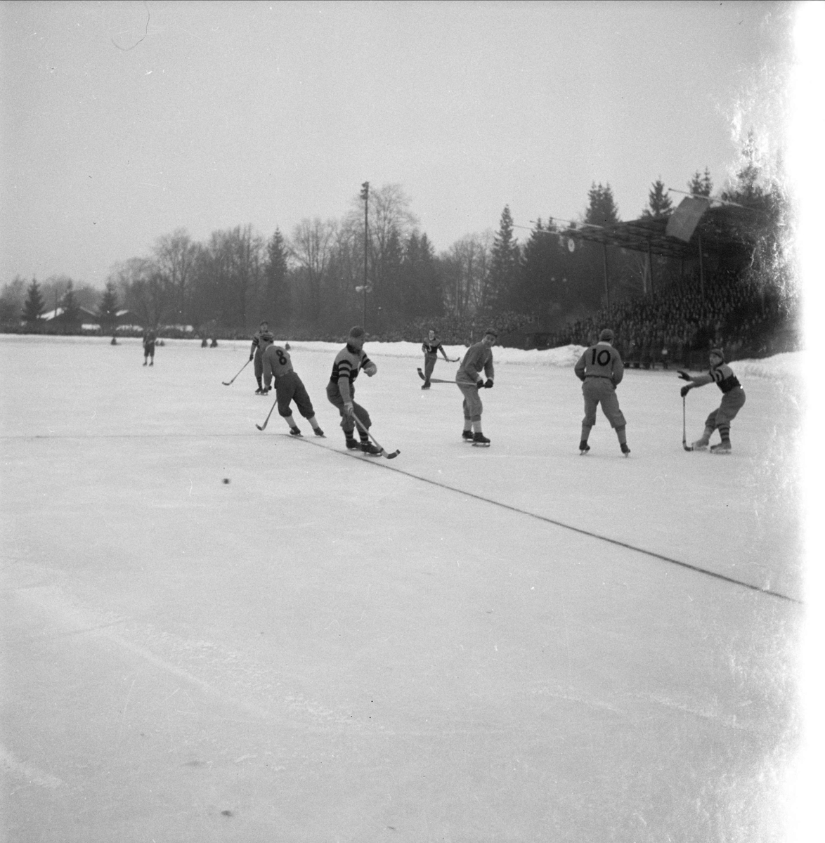 Bandy - IK Sirius - Sandvikens AIK, Studenternas Idrottsplats, Uppsala 1951