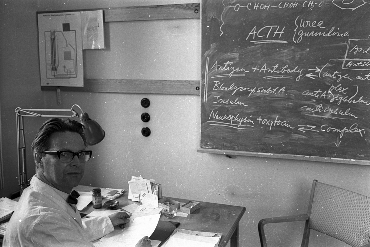 Professor Jerker Porath på sitt arbetsrum vid den Biokemiska institutionen vid Uppsala universitet, juni 1965
