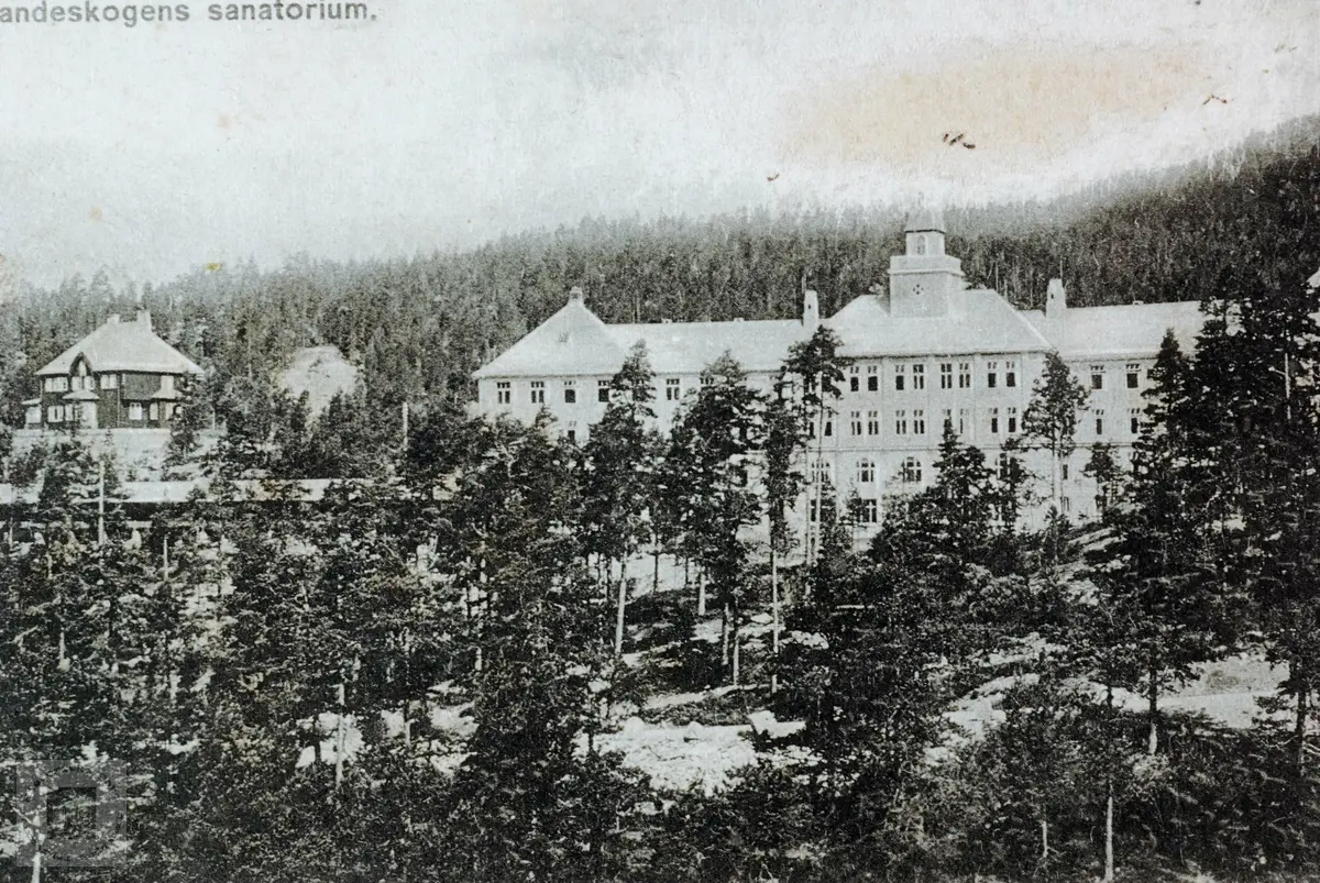 Landeskogen sanatorium, Byglandsfjord.