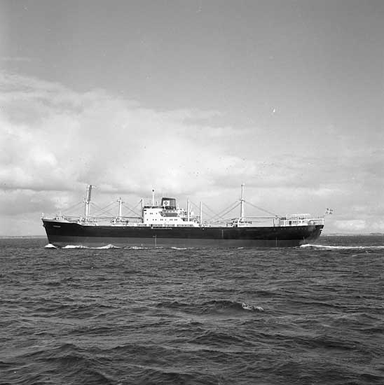 Fartyg nr. 169 M/S Fernleaf, lastfartyg.