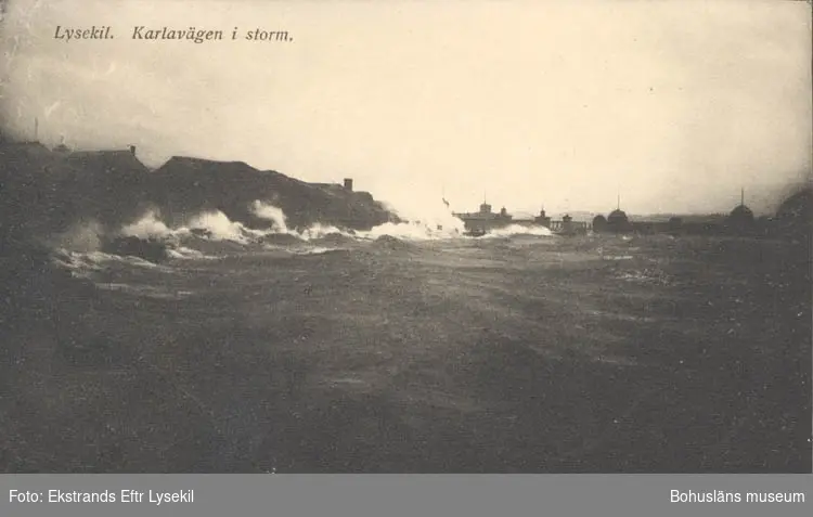 Tryckt text på kortet: "Lysekil, Karlavägen i storm."
"Albert Wallins Bokhandel."