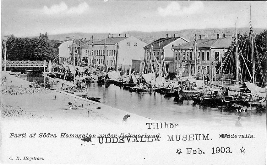 Tryckt text på vykortets framsida: "Uddevalla Parti af Södra Hamngatan under fiskmarknad".