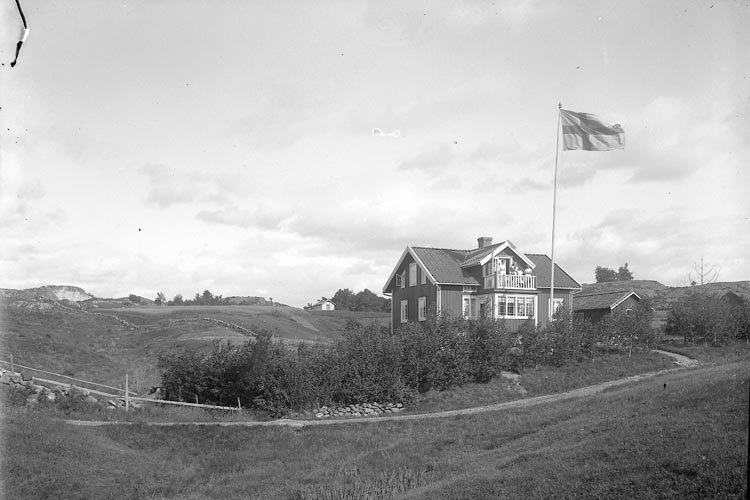 Enligt fotograrens journal nr 3 1916-1917: "Sjögren, Villa Här".