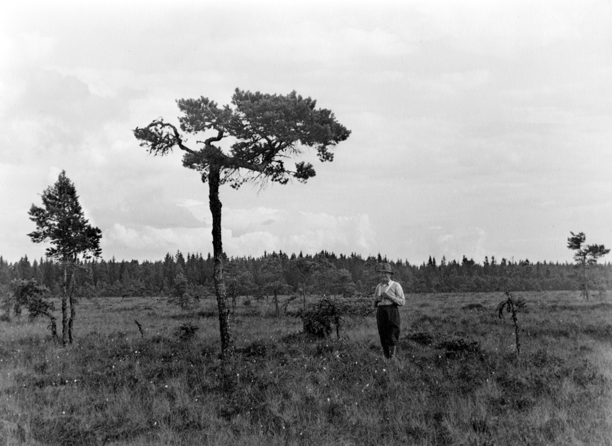 En man står på mossen mellan Våeryd och Lindön.