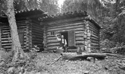 tømmerkoje, mann, skog