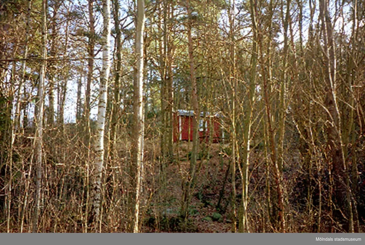 Fritidshus med skog runt omkring. Annestorp 1:17, Annestorp i Lindome februari 1995. Rivet 1995. Relaterade motiv: 2004_1252 - 1253.