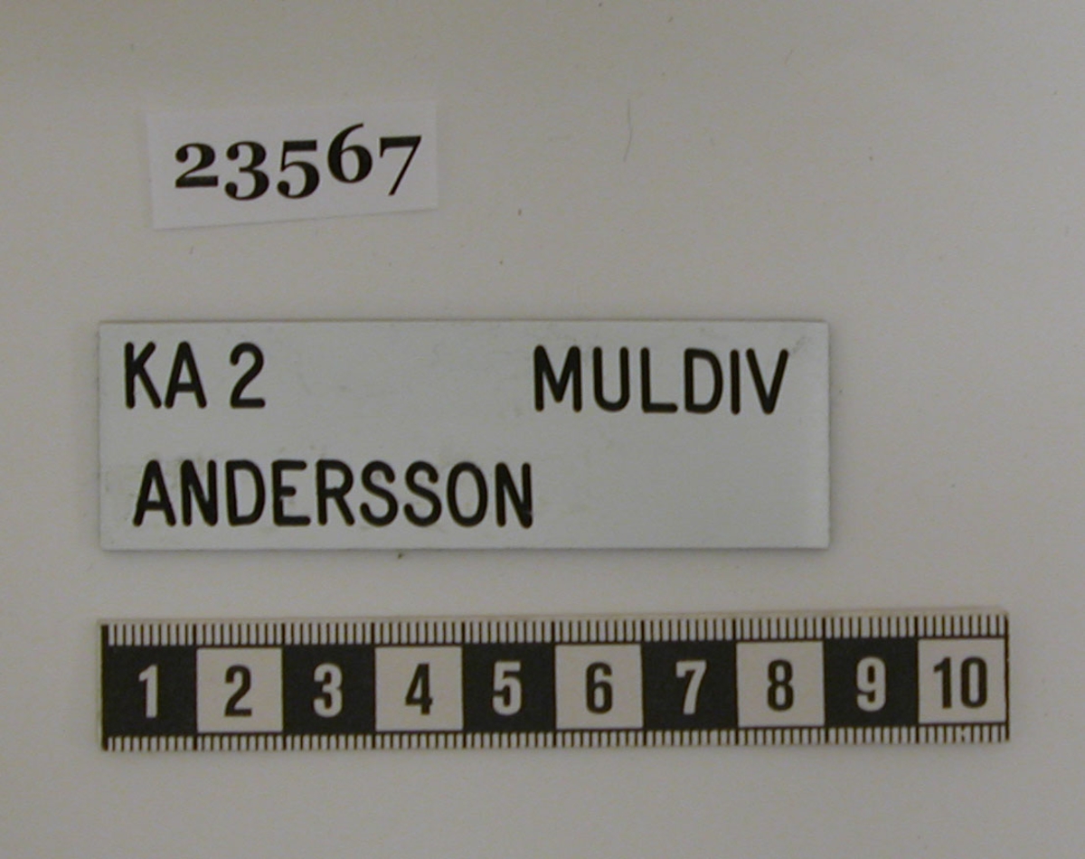 Namnbricka i plast med vit bakgrund och svart text. På brickan står på översta raden "KA 2 MULDIV" och på andra raden "ANDERSSON". Texten är graverad. Namnbrickan saknar bygel för fäste i uniform.