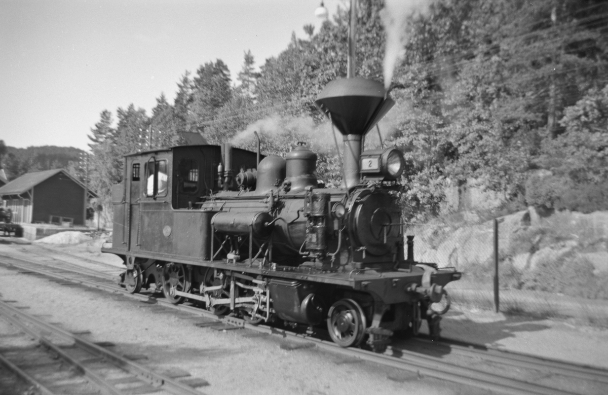Setesdalsbanens damplok XXI nr. 2 på Hægeland stasjon.
