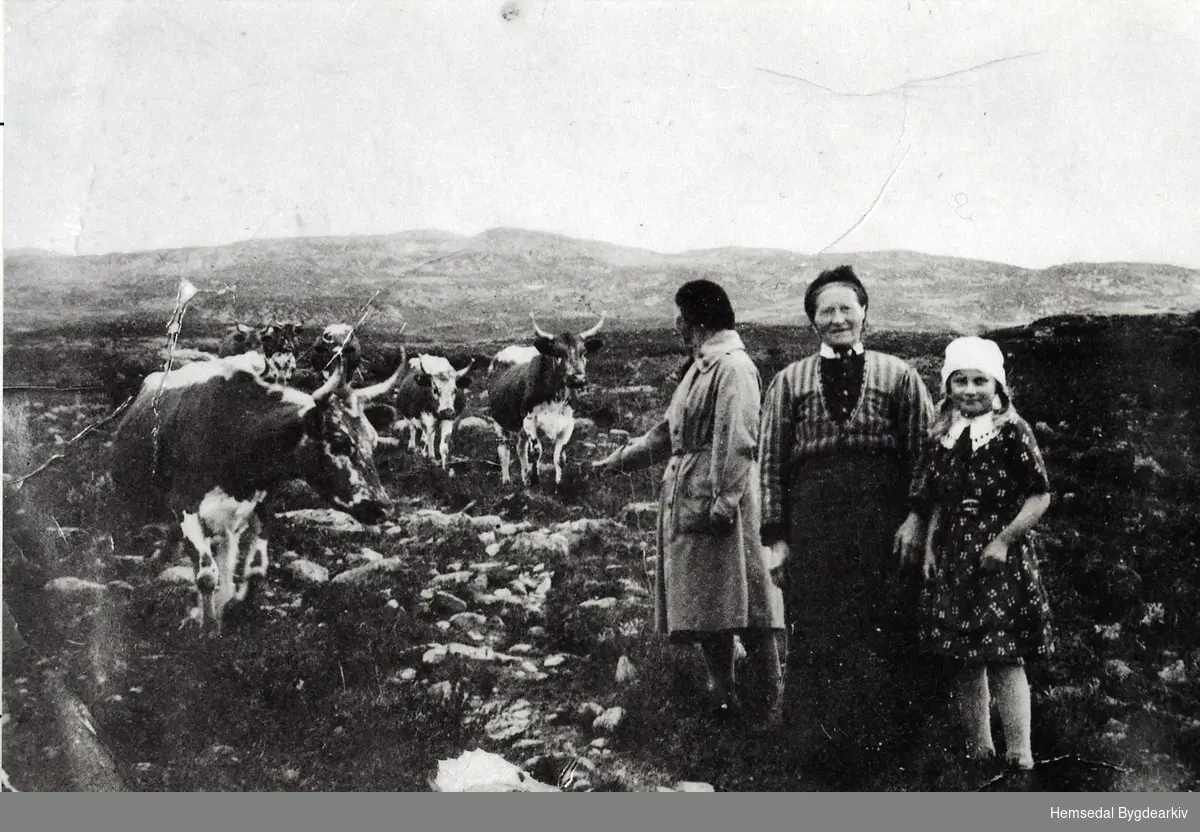 Holdeskaret i Hemsedal i 1937
Frå venstre: Fru Astrid Magnesen (bydame), Margit Fekene og Magnhild Flaget
Fotograf: Bjørn Magnesen